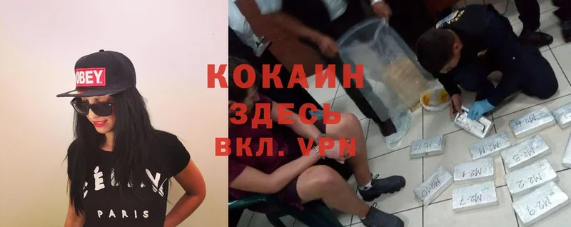 Cocaine Fish Scale Кадников