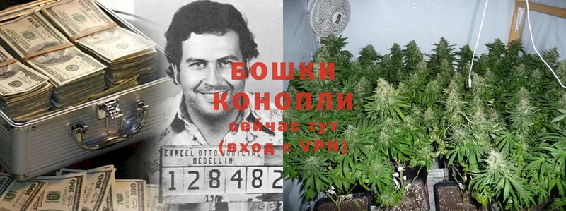 Конопля Ganja  наркотики  Кадников 